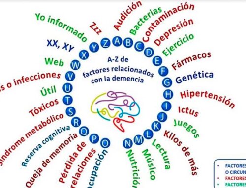 De la A a la Z: Descubre todos los factores clave para vivir neuroprotegidos